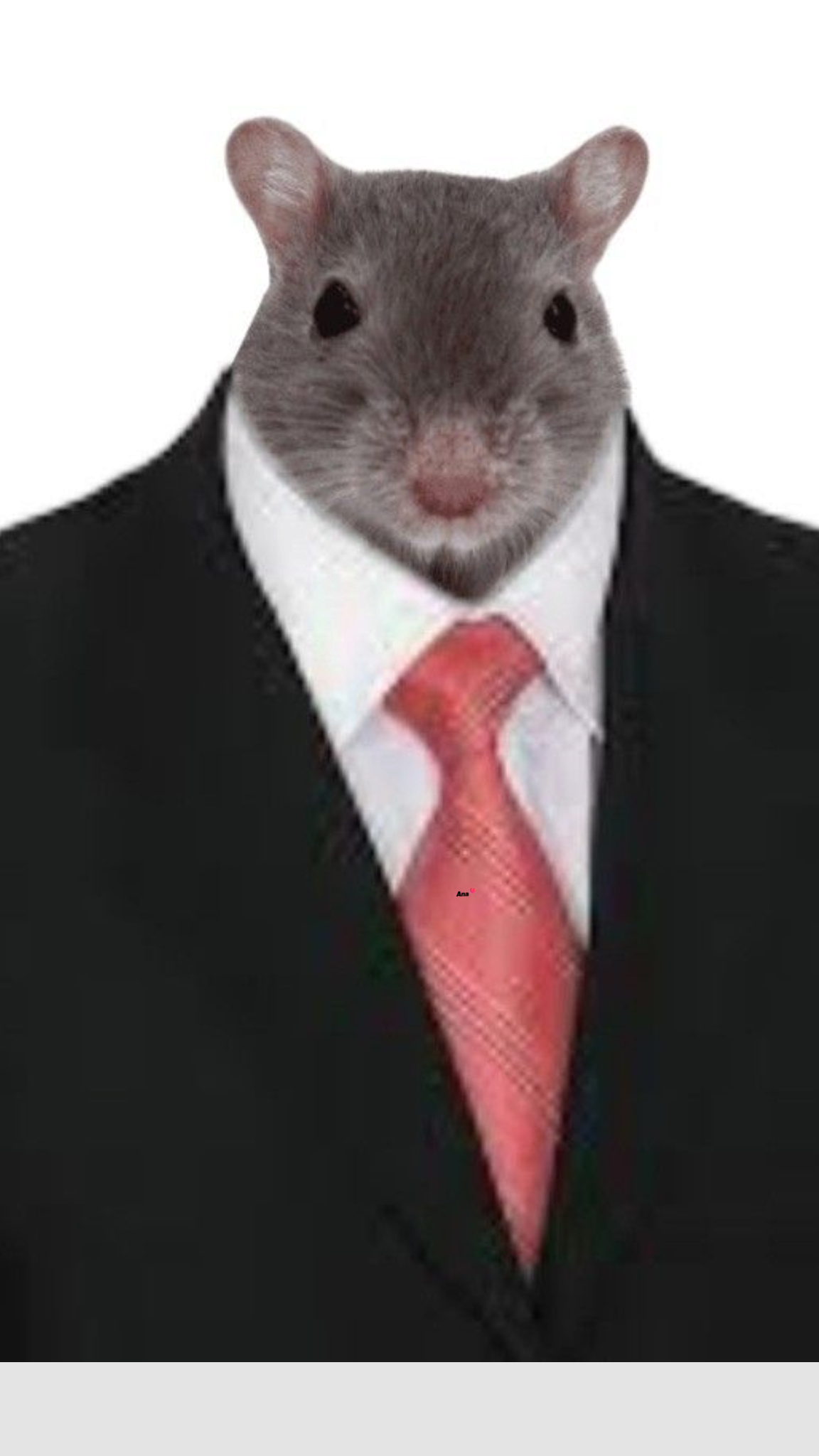 Die Fette Kanalratte