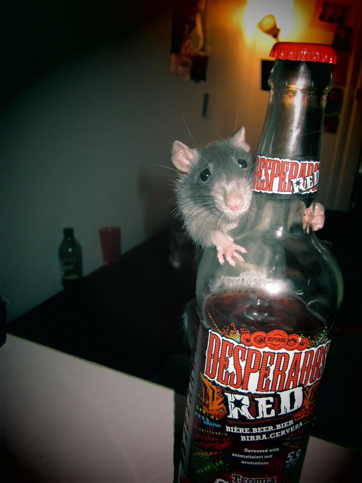 Der Kleine Mäuserich